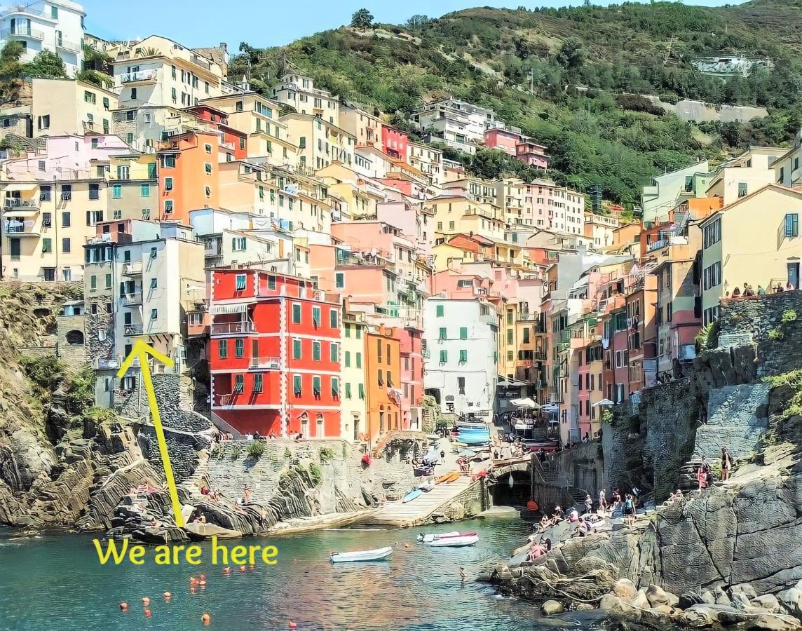 Apartment La Scogliera - 里奥马哲雷 外观 照片